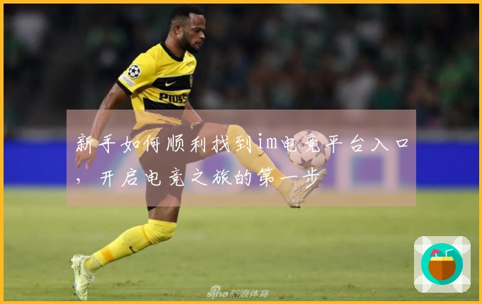 新手如何顺利找到im电竞平台入口，开启电竞之旅的第一步